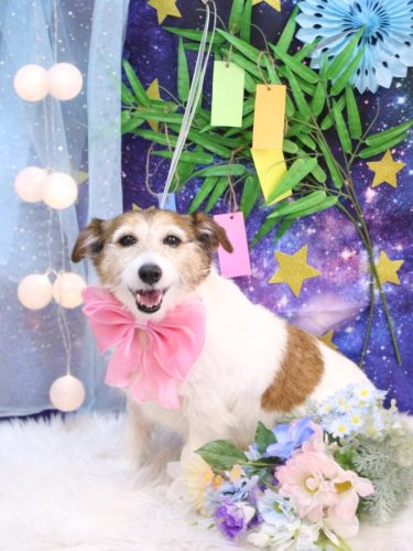 20250710こはるちゃん